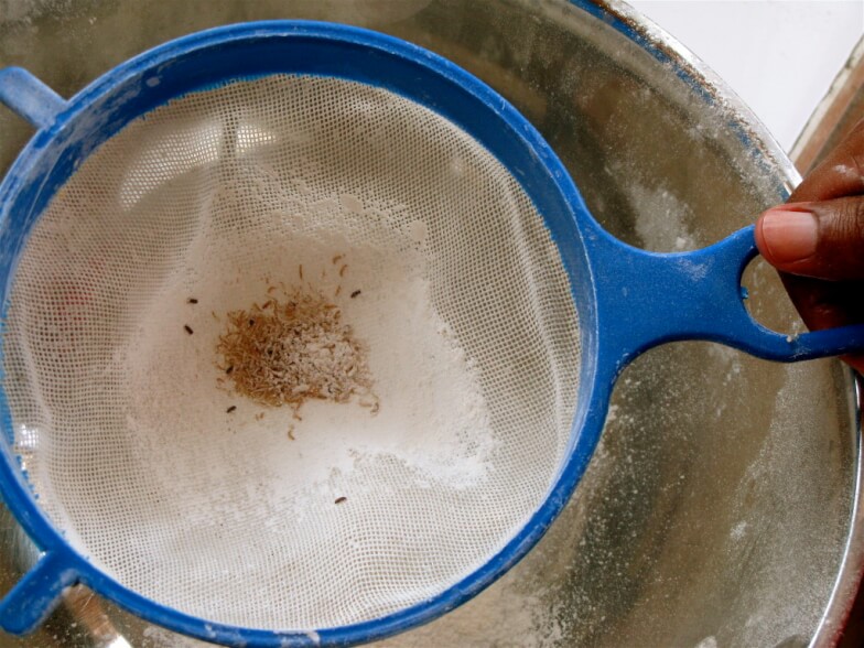 Какие насекомые становятся «непрошеными гостями» - Рыжие мукоеды