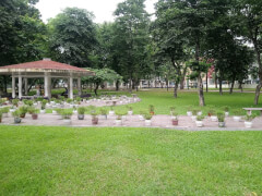 Парк Тонг Нхат