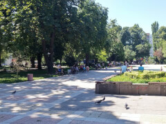 Парк Белые берёзы