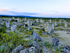 Каменный лес