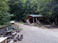 Лесной бар