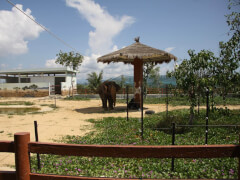Сафари-парк FLC Zoo Quy Nhon