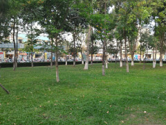 Парк Làng Hoa