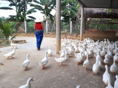 Национальный парк The Duck Stop