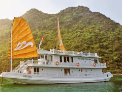 Круизная компания Paradise